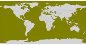 ICE-8 World Map