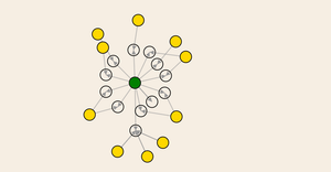 Fork of Force Network