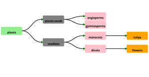 Fork of Family Tree of plants