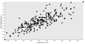 Human Brain Weight