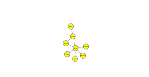 Social Network Graph