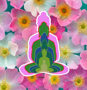 6 Buddhas