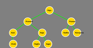 Raja Yaswanth Varma Vegesna 11640007 Tree Map