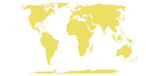 World Map