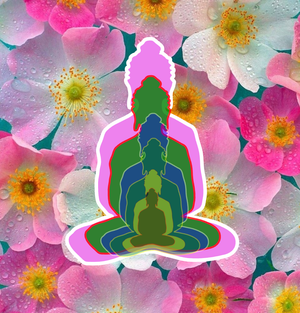 overlapping Buddha