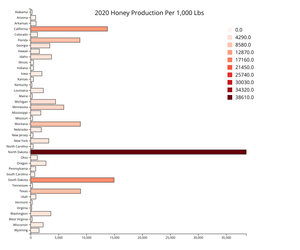 A6 Bar Chart