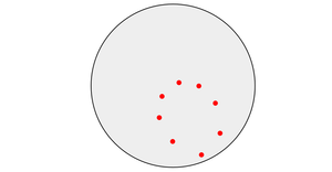 D3 Circle animation