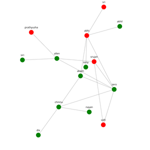 Network Graph Diagram