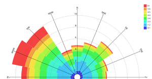 Wind Rose Starter Playtime
