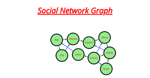 Network Graph