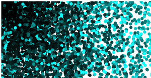 Random circles