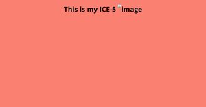 code5