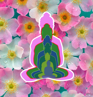 6 Buddhas