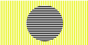 Sol Lewitt Alternative - Colour Animation