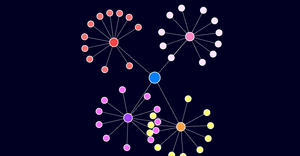 Network Graph