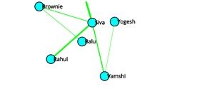Social Network