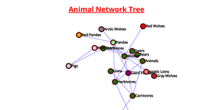 Network Graph