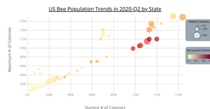 California Bee Population