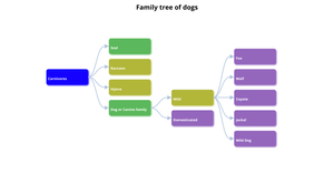 ICE8 - Family Tree
