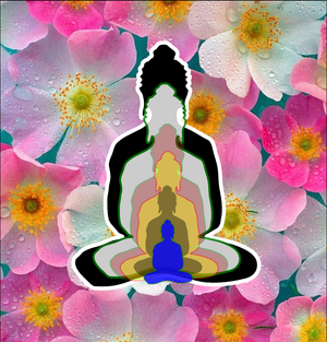 6 BUDDHAS