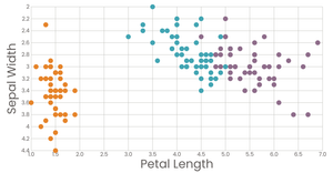 Scatter Plot with Color