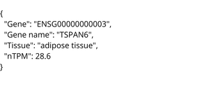 RNA Tissue expression