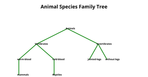 Family Tree