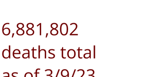 Summarizing Coronavirus Data