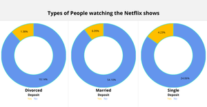 Types of People watching the Netflix shows