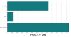 Stylized Bar Chart