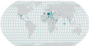Missing migrants on a Map