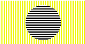 Sol Lewitt Alternative - Colour Animation