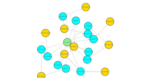 Force Network