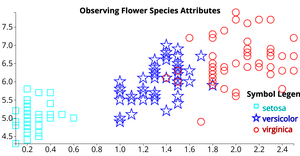 Observing Flower Species Attributes