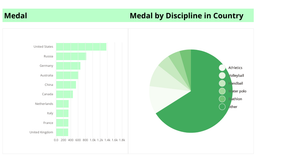 Version one: Medal by Discipline in top 10 Countries