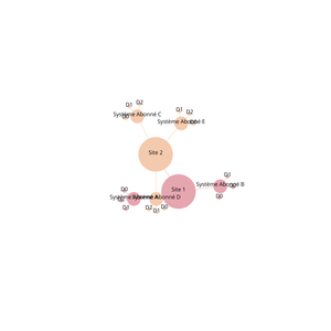 Network Graph
