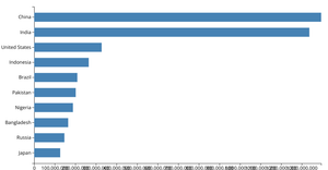 Basic Bar Chart