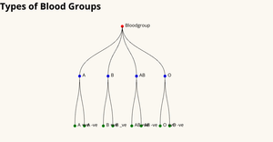 Question7-network