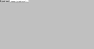 React Starter