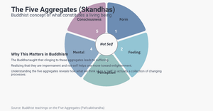 Fork of Vanilla D3 Vibecoding Template 