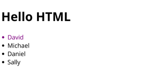 HTML Names Report