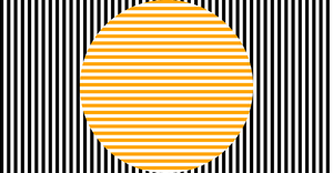 Fork of Sol LeWitt reproduction - adding color and animation