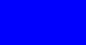 Blank Layout
