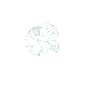 Arastu-360