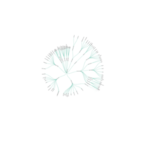 Arastu-360