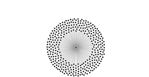 A8- Edge Bundling