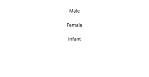 Correlation Matrix