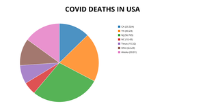 ICE-7 PIE CHART