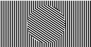 Sol Lewitt Alternative - Rotate Animation