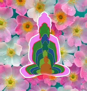 6 buddhas